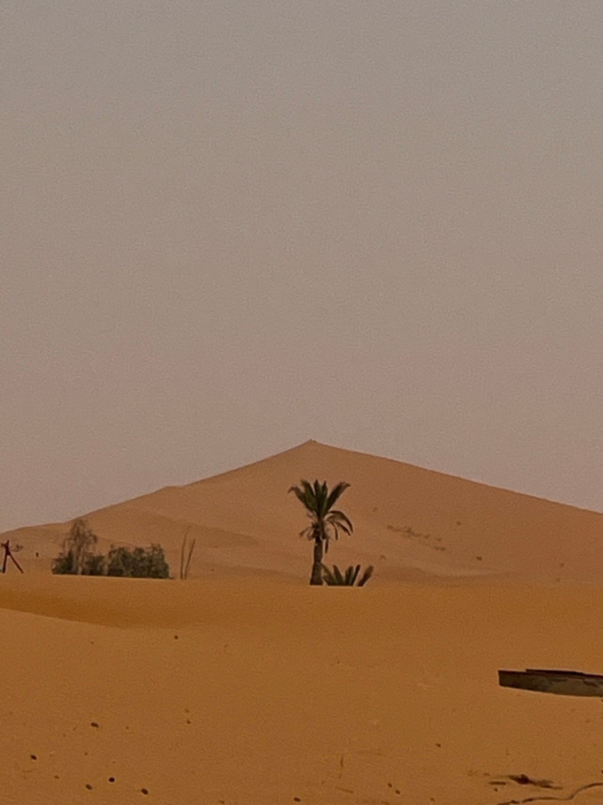 SAND AND ROADS&nbsp;WEST