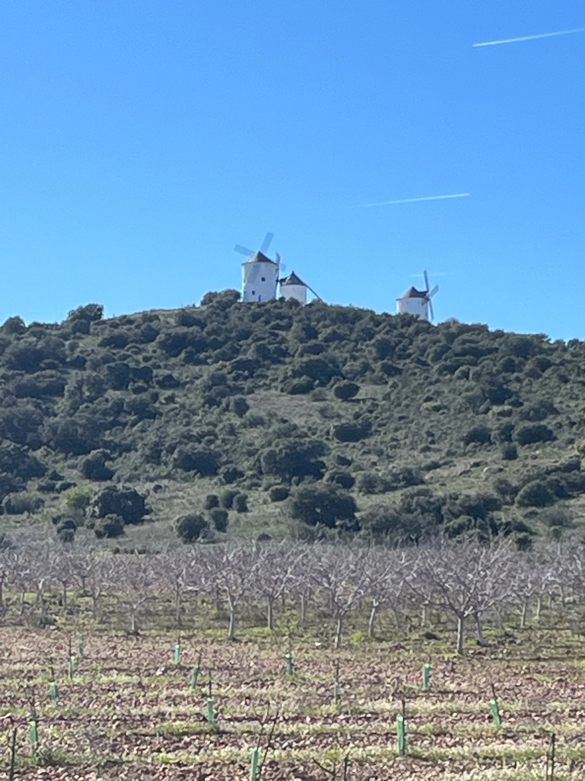 TILTING AT WINDMILLS